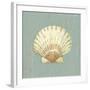 Scallop Shell-Lisa Danielle-Framed Art Print