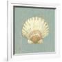 Scallop Shell-Lisa Danielle-Framed Art Print