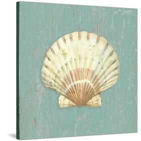 Scallop Shell-Lisa Danielle-Stretched Canvas