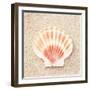 Scallop Shell-Carolyn Cochrane-Framed Photographic Print