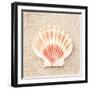 Scallop Shell-Carolyn Cochrane-Framed Photographic Print