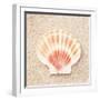 Scallop Shell-Carolyn Cochrane-Framed Photographic Print