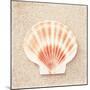 Scallop Shell-Carolyn Cochrane-Mounted Photographic Print