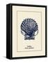 Scallop Shell-Gregory Gorham-Framed Stretched Canvas