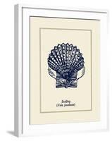 Scallop Shell-Gregory Gorham-Framed Art Print