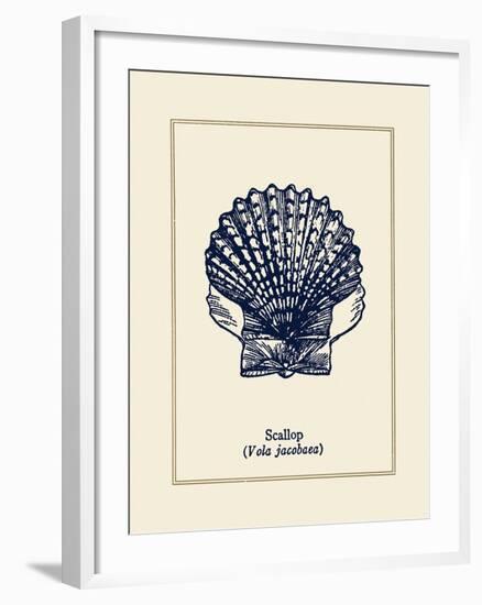 Scallop Shell-Gregory Gorham-Framed Art Print