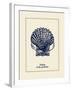 Scallop Shell-Gregory Gorham-Framed Art Print