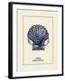 Scallop Shell-Gregory Gorham-Framed Art Print