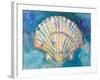 Scallop Shell-Jeanette Vertentes-Framed Art Print