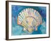 Scallop Shell-Jeanette Vertentes-Framed Art Print