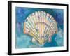 Scallop Shell-Jeanette Vertentes-Framed Art Print