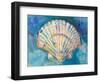 Scallop Shell-Jeanette Vertentes-Framed Art Print