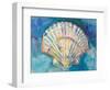 Scallop Shell-Jeanette Vertentes-Framed Art Print