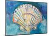 Scallop Shell-Jeanette Vertentes-Mounted Art Print