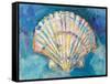 Scallop Shell-Jeanette Vertentes-Framed Stretched Canvas