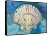 Scallop Shell-Jeanette Vertentes-Framed Stretched Canvas