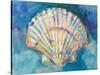 Scallop Shell-Jeanette Vertentes-Stretched Canvas