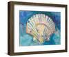 Scallop Shell-Jeanette Vertentes-Framed Premium Giclee Print