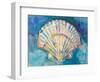Scallop Shell-Jeanette Vertentes-Framed Premium Giclee Print