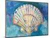 Scallop Shell-Jeanette Vertentes-Mounted Premium Giclee Print