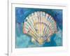 Scallop Shell-Jeanette Vertentes-Framed Art Print