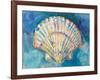 Scallop Shell-Jeanette Vertentes-Framed Art Print