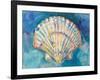 Scallop Shell-Jeanette Vertentes-Framed Art Print