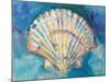 Scallop Shell-Jeanette Vertentes-Mounted Art Print