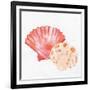 Scallop Shells 1-Kimberly Allen-Framed Art Print