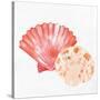 Scallop Shells 1-Kimberly Allen-Stretched Canvas