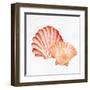 Scallop Shells 2-Kimberly Allen-Framed Art Print