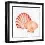 Scallop Shells 2-Kimberly Allen-Framed Art Print