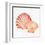 Scallop Shells 2-Kimberly Allen-Framed Art Print