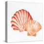 Scallop Shells 2-Kimberly Allen-Stretched Canvas