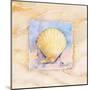 Scallop-Paul Brent-Mounted Art Print