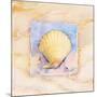 Scallop-Paul Brent-Mounted Art Print