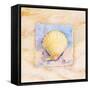 Scallop-Paul Brent-Framed Stretched Canvas