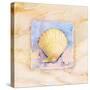 Scallop-Paul Brent-Stretched Canvas