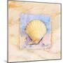 Scallop-Paul Brent-Mounted Art Print