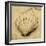 Scallop-John Seba-Framed Photo