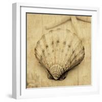 Scallop-John Seba-Framed Photo