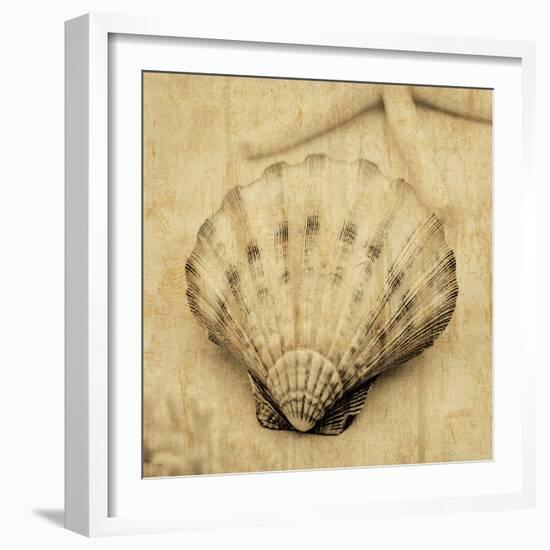 Scallop-John Seba-Framed Photo