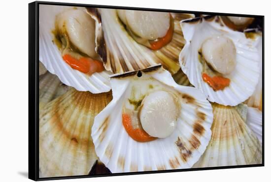 Scallops in a City Center Fish Market-Jon Hicks-Framed Stretched Canvas