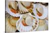 Scallops in a City Center Fish Market-Jon Hicks-Stretched Canvas