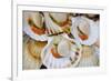 Scallops in a City Center Fish Market-Jon Hicks-Framed Photographic Print