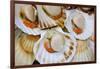 Scallops in a City Center Fish Market-Jon Hicks-Framed Photographic Print