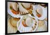 Scallops in a City Center Fish Market-Jon Hicks-Framed Photographic Print