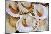 Scallops in a City Center Fish Market-Jon Hicks-Mounted Photographic Print