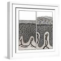 Scaly Skin-John Bavosi-Framed Photographic Print