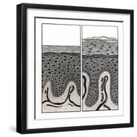 Scaly Skin-John Bavosi-Framed Premium Photographic Print